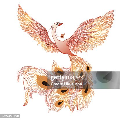 Phoenix Vector High-Res Vector Graphic - Getty Images