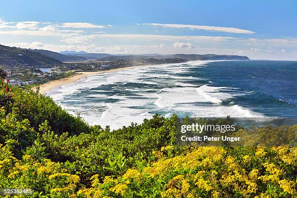 the beach at wilderness, garden route - província do cabo oeste - fotografias e filmes do acervo