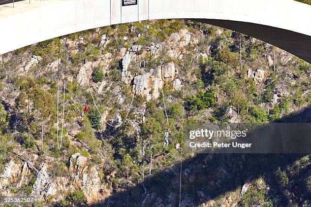 people bungy jumping off bloukrans bridge - bungee cord stock pictures, royalty-free photos & images