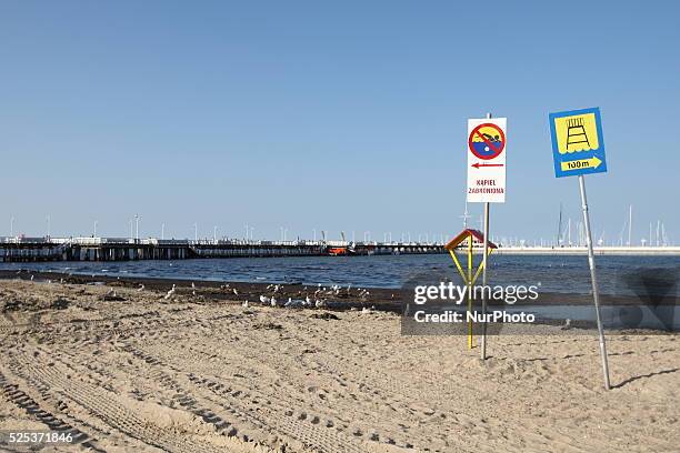 Sopot, Poland 17th, July, 2014 Due to the high temperature and flauta at sea, on the Sopot's Baltic Sea beach blue-green cyanobacteria algae bloomed....