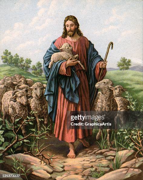 105 Jesus The Good Shepherd Photos and Premium High Res Pictures - Getty  Images