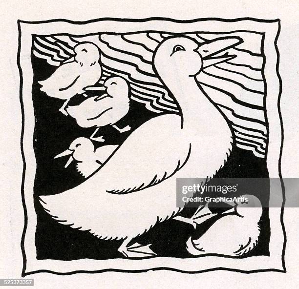 Vintage illustration of mother duck and four ducklings quacking at the edge of a pond; black and white illustration, 1932.