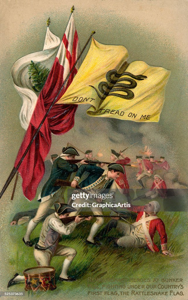 Bunker Hill With Gadsden Flag