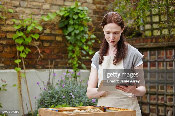 beekeeper with super from beehive using touchscreen on digital tablet - apiculture stock pictures, royalty-free photos & images