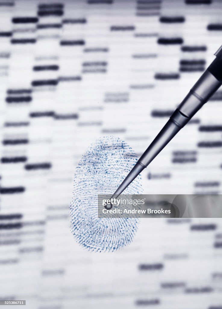 DNA sample being pipetted onto human fingerprint and DNA gel illustrating genetic engineering
