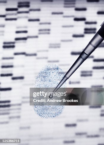 DNA sample being pipetted onto human fingerprint and DNA gel illustrating genetic engineering DNA sample being pipetted onto human fingerprint and DNA gel illustrating genetic engineering