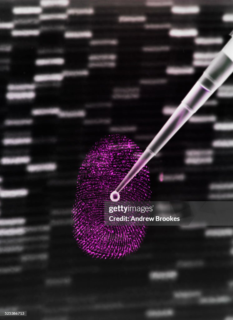 Gdna Sample Dna Sample Being Pipetted Onto Human Fingerprint And Dna Gel To ...