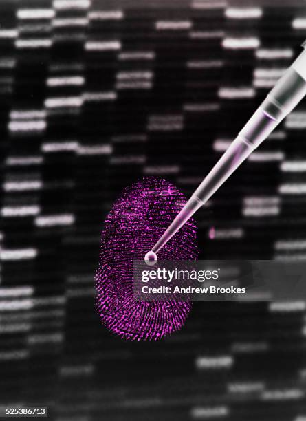 Dna Sampler Dna Sample Being Pipetted Onto Human Fingerprint And Dna Gel To ...