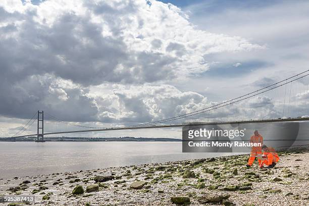 ecologists inspecting beach by suspension bridge. the humber bridge, uk was built in 1981 and at the time was the worlds largest single-span suspension bridge - humber bridge stockfoto's en -beelden