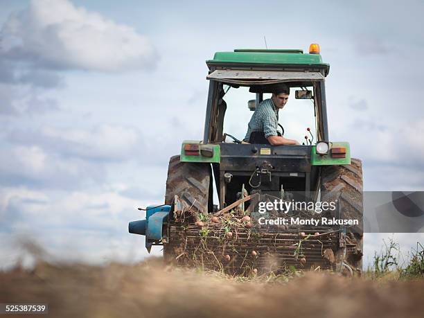farmer on tractor harvesting organic potatoes - trator imagens e fotografias de stock