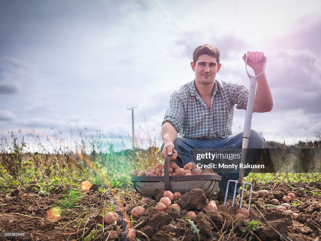 Portrait of farmer with basket of organic potatoes