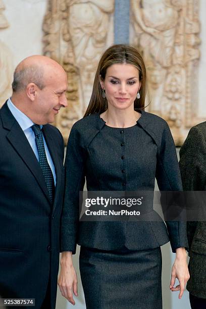 Queen Letizia of Spain attends the 2013 Velazquez Plastic Arts Awards ceremony at El Prado Museum on November 17, 2014 in Madrid, Spain. Photo: Oscar...