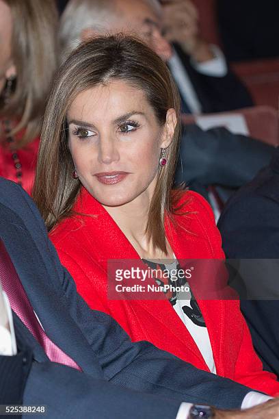 Queen Letizia of Spain attends the CSIC 75th anniversary event on November 24, 2014 in Madrid, Spain. Photo: Oscar Gonzalez/NurPhoto