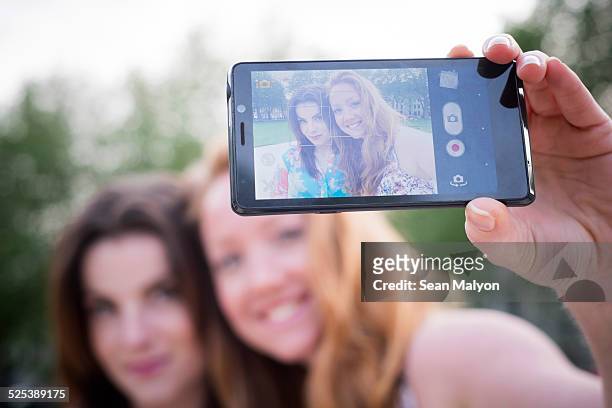 close up of two young female friends taking selfie on smartphone in park - sean malyon stock pictures, royalty-free photos & images