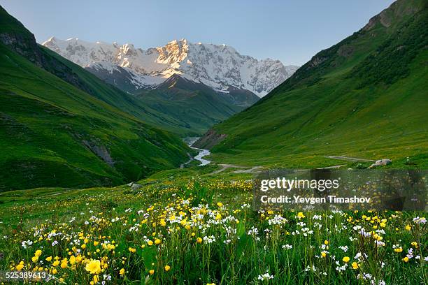 view of wildflower meadow and shkhara mountain, ushguli village, svaneti, georgia - valley foto e immagini stock