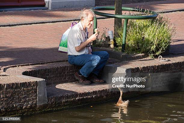 The Netherlands, on August 6, 2015. Summer is Back. Temperatures are increasing again after a short, cold spell. Temperatures will be reaching 27...