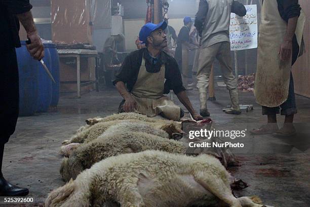 Syrians slaughter sheep during the Muslim holiday of Eid al-Adha , which commemorates Abraham's willingness to sacrifice his son for God . Rif...