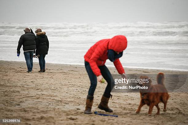 The entire weekend on January 11, 2015 in The Netherlands winds of up to 90km per hour have been measured in most parts of the country. Despite...