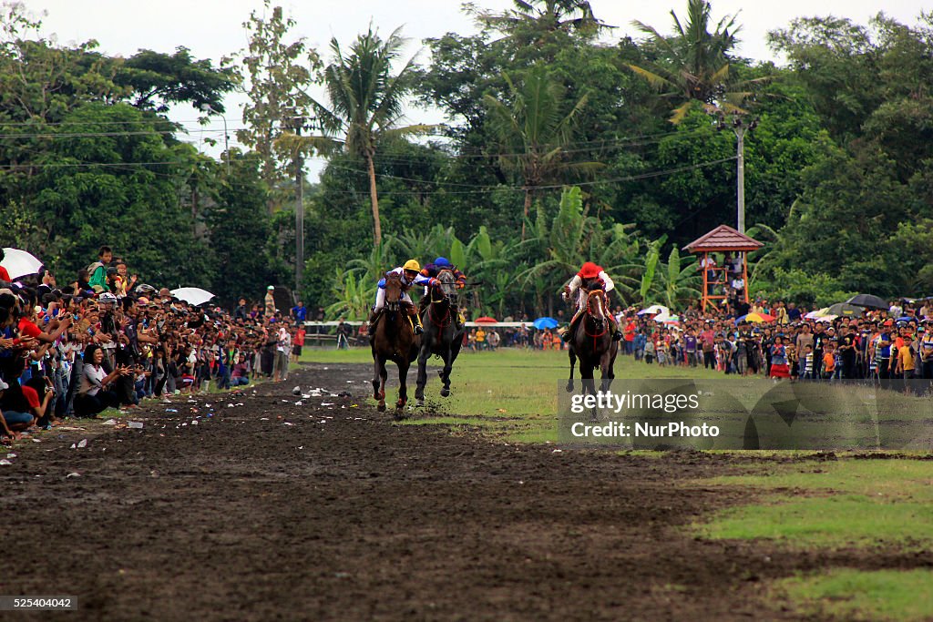 Horse Racing Championship in Indonesia