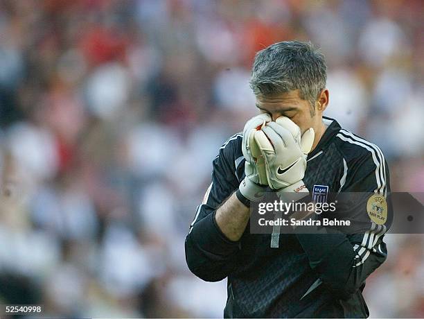 467 Portugal Goalkeepers Football 2000s Stock Photos, HighRes Pictures