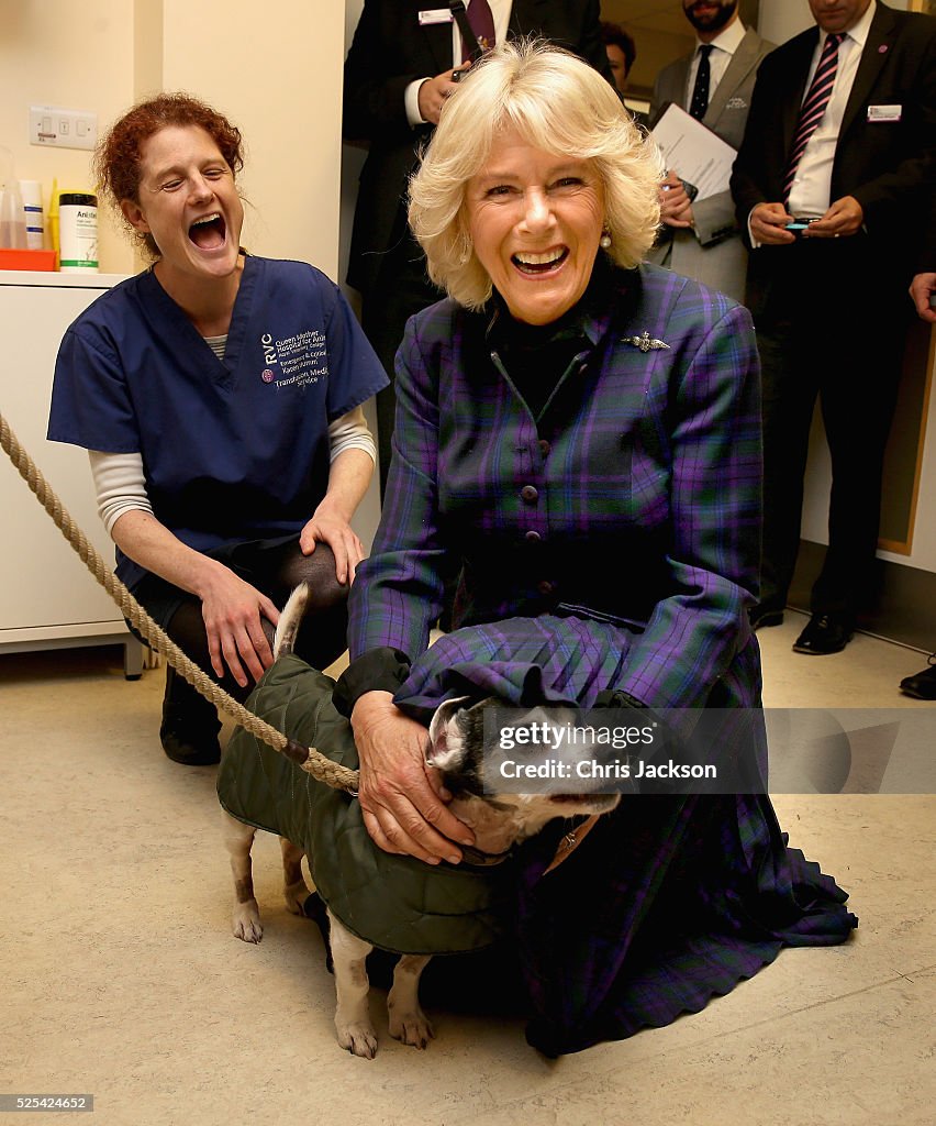 The Duchess Of Cornwall Visits The Queen Mother Hospital For Small Animals