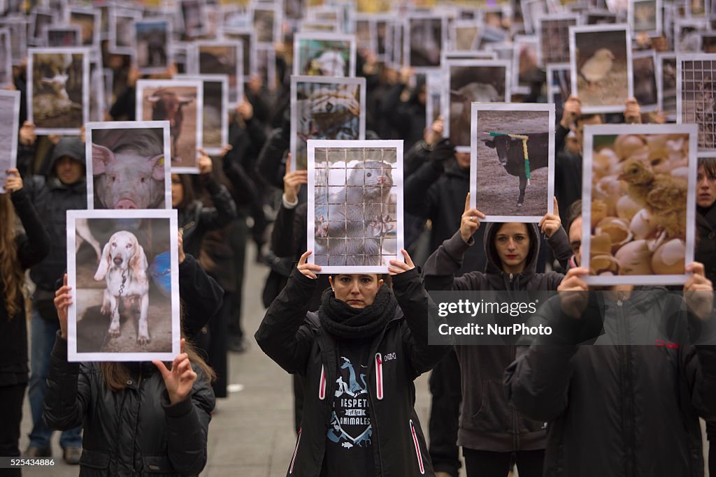 Madrid: protest against animal abuse