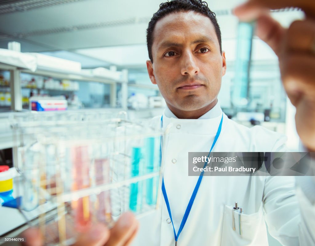 Scientist examining samples in test tubes in laboratory