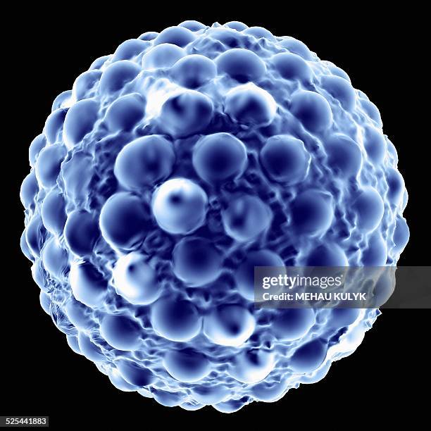 hepatitis a, artwork - hepatitis a stock illustrations