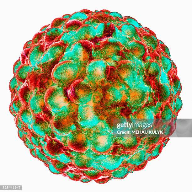 hepatitis a, artwork - hepatitis a stock-grafiken, -clipart, -cartoons und -symbole