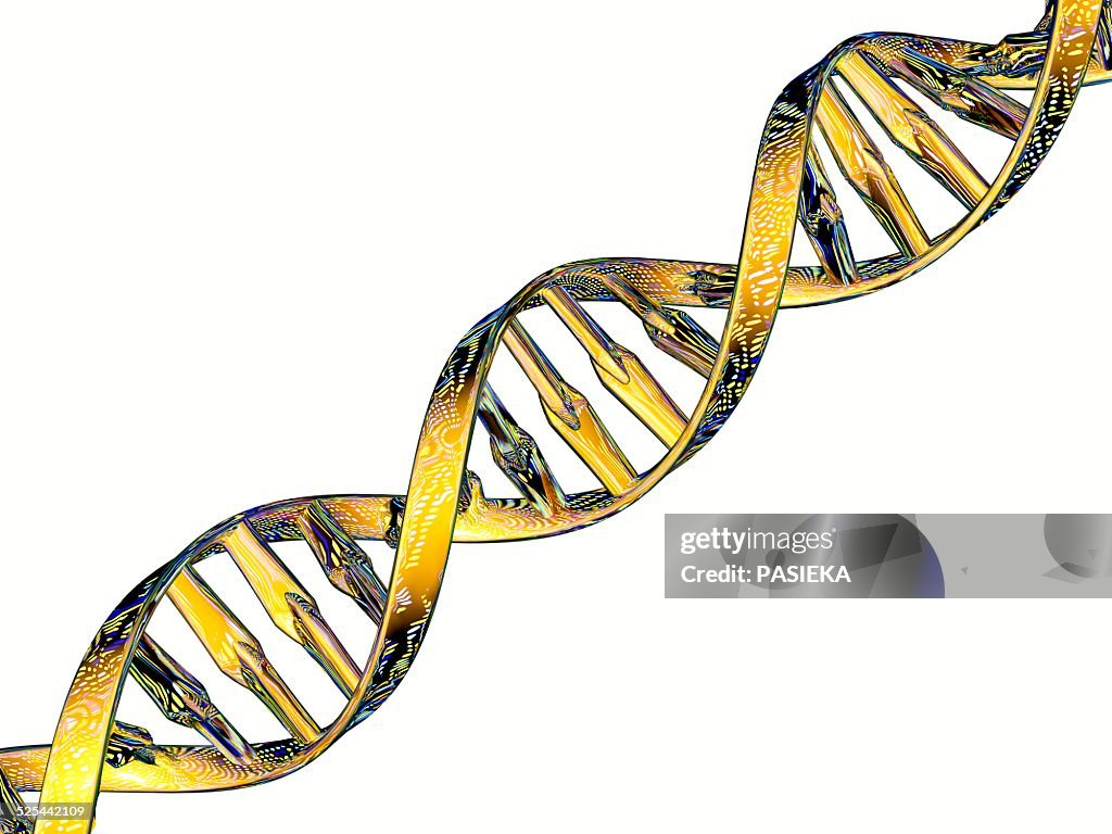 DNA double helix reflecting microarray