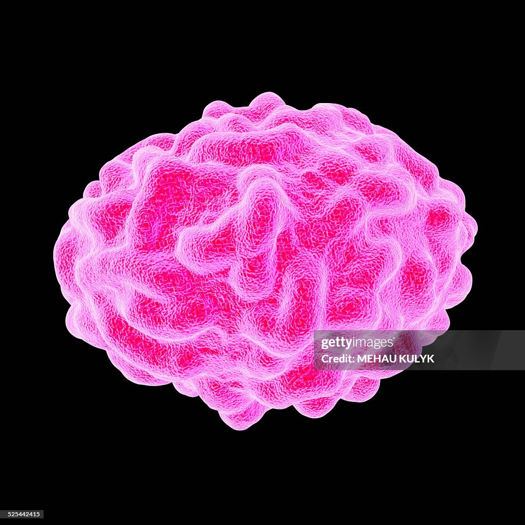 Smallpox Design Smallpox Virus Artwork High-Res Vector Graphic - Getty Images
