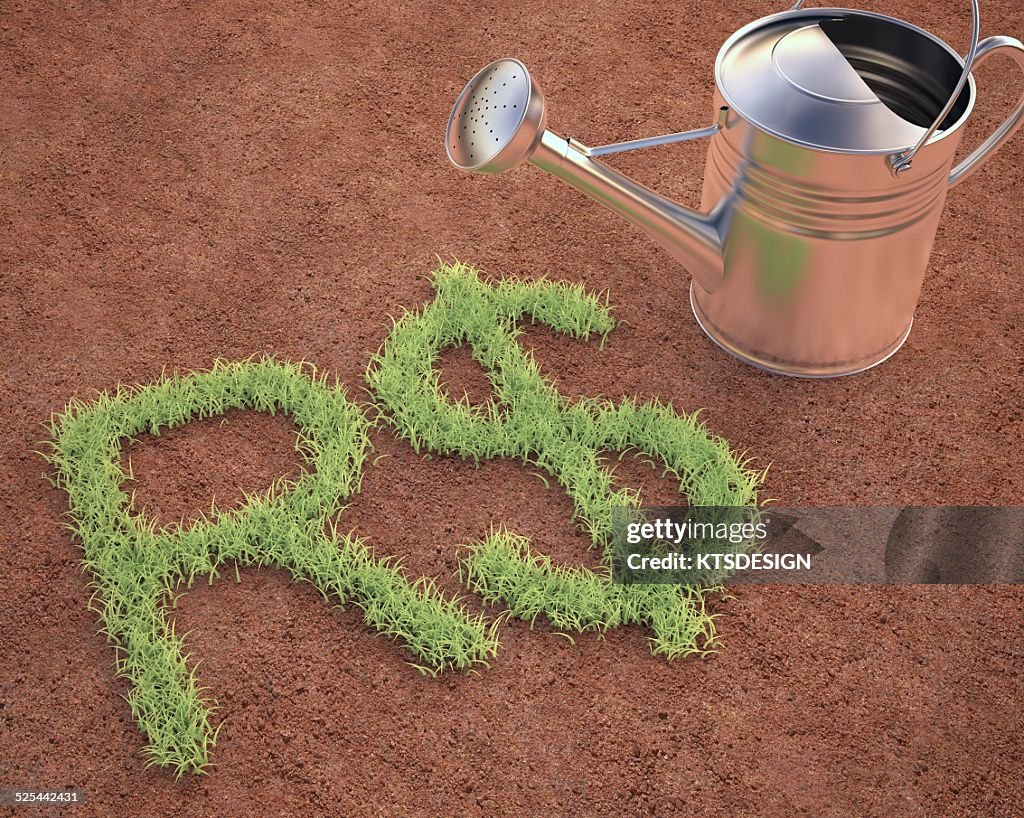 Brazilian real sign and watering can