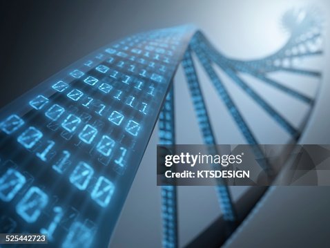 Binary code on dna strand, artwork Binary code on dna strand, artwork