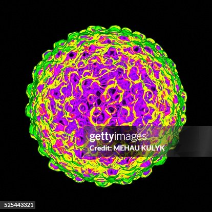 Herpes simplex, artwork Herpes simplex, artwork