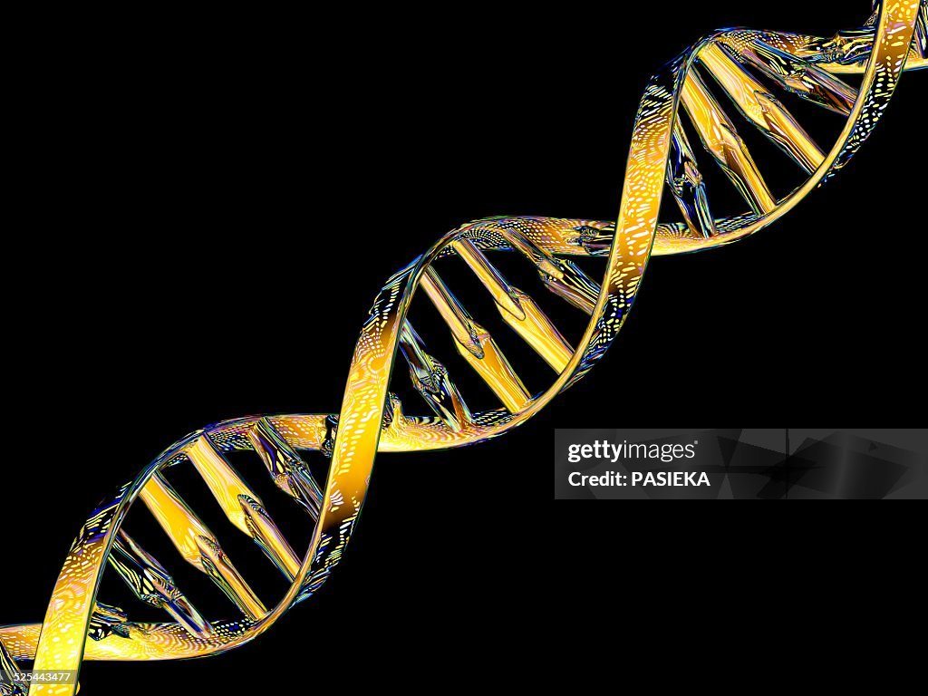 DNA double helix reflecting microarray
