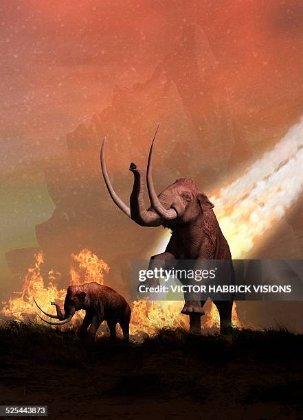 woolly mammoths and meteor - eiszeit stock-grafiken, -clipart, -cartoons und -symbole