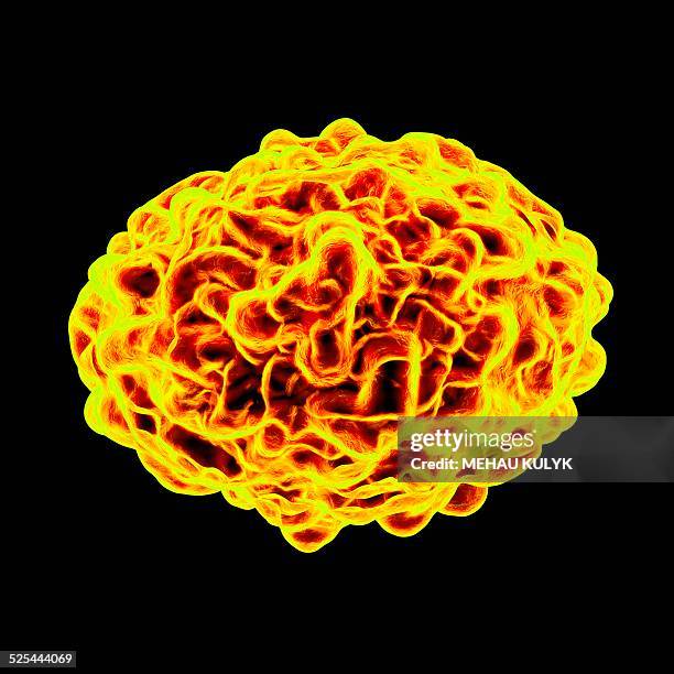 smallpox virus, artwork - smallpox stock illustrations