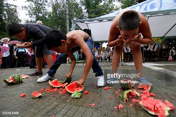 Bulgarians push water-melons into each other mouths during the annual water-melon festival in the village of Salmanovo east of the Bulgarian capital...
