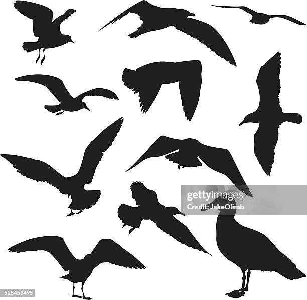 möwen silhouette - seagull stock-grafiken, -clipart, -cartoons und -symbole