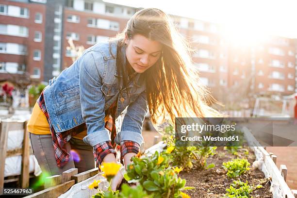 portrait of young woman at raised bed in front of multi-family house - canteiro de flores imagens e fotografias de stock