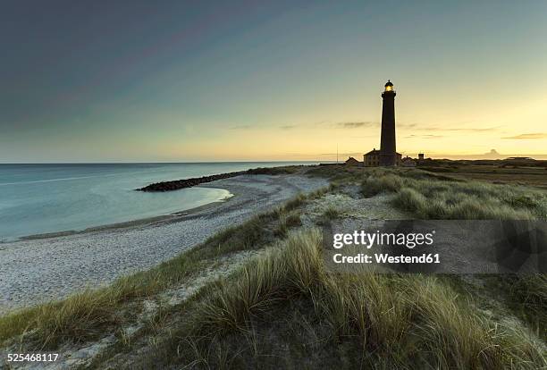 denmark, skagen, lighthouse at the beach - jutland ストックフォトと画像