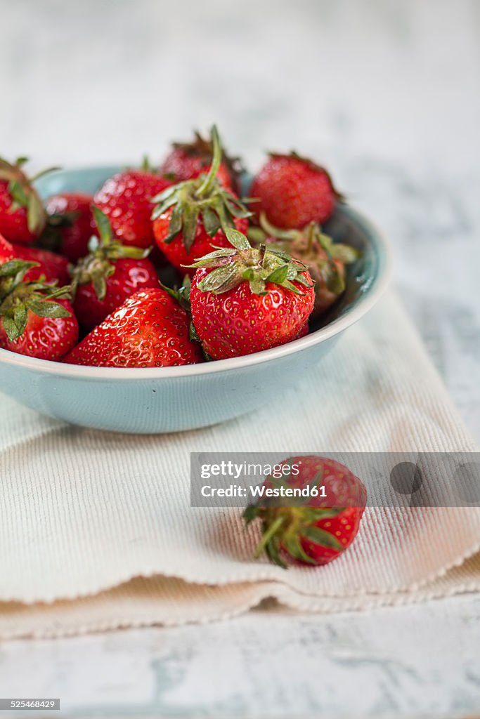 Bowl of strawberries, Fragaria