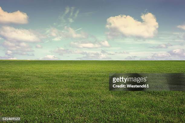 germany, north rhine-westphalia, rhein-sieg-kreis, bergisches land, meadow and clouds - grass stock pictures, royalty-free photos & images