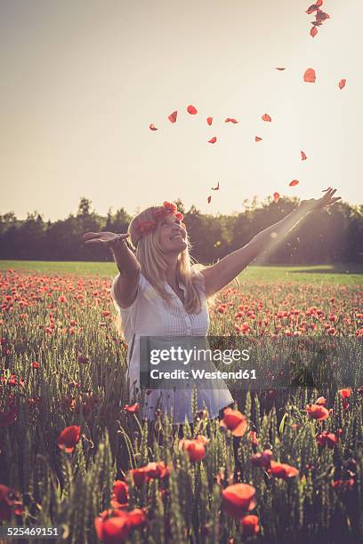 woman jumping in a poppy field throwing petals in the air - stehmohn stock-fotos und bilder