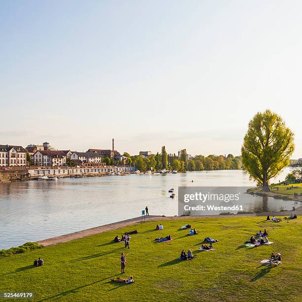 germany, baden-wuerttemberg, heidelberg, neckar river, people on neckar meadow - heidelberg foto e immagini stock