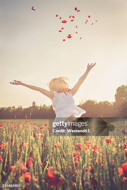 woman jumping in a poppy field throwing petals in the air - throwing flowers stock pictures, royalty-free photos & images