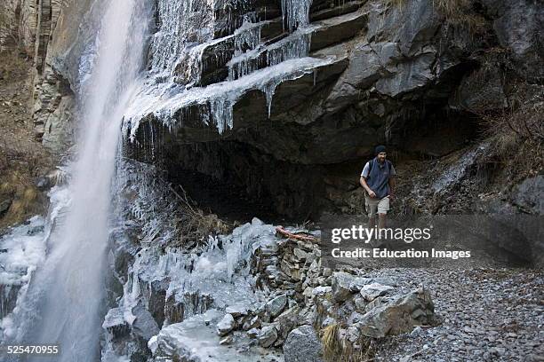 Trekker Walks Under A Frozen Waterfall Which Drains Into The Nar Phu River In The Annapurna Conservation Area, Nepal Himalaya.