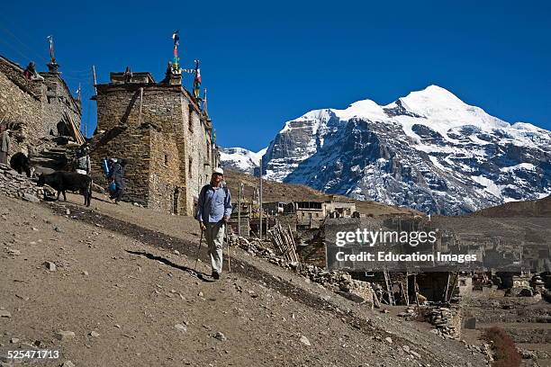 Trekker Leaving Nar Village With Kangguru Peak At 6981 Meters, Nar Phu Trek, Annapurna Conservation Area, Nepal.