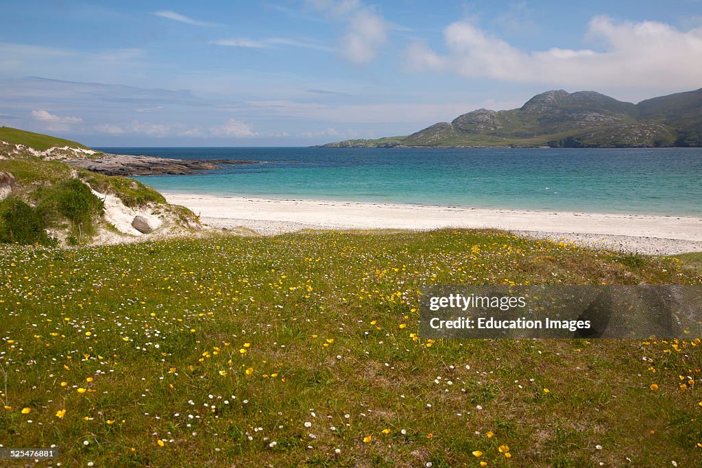 Machair grassland and sandy beach at Bagh a Deas, South Bay, Vatersay island, Barra, Outer Hebrides, Scotland