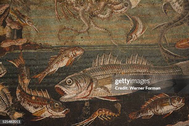 Pompeii, House of the Faun. Mosaic detail with fish, Italy. Late 2nd Century BC.